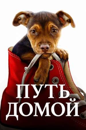 Путь домой онлайн